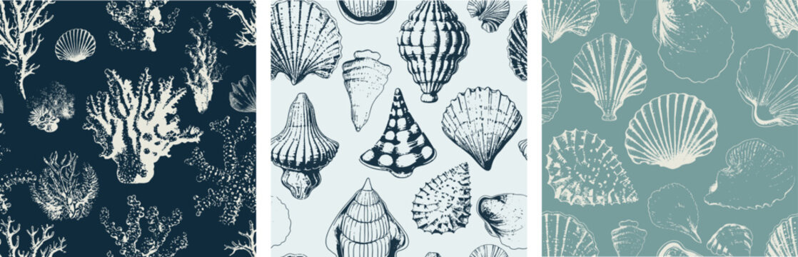 Seashell and Coral Ocean Marine life Seamless Vector Pattern Underwater Nursery set of 3