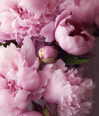 Fresh peonies, close-up. AI generated image.