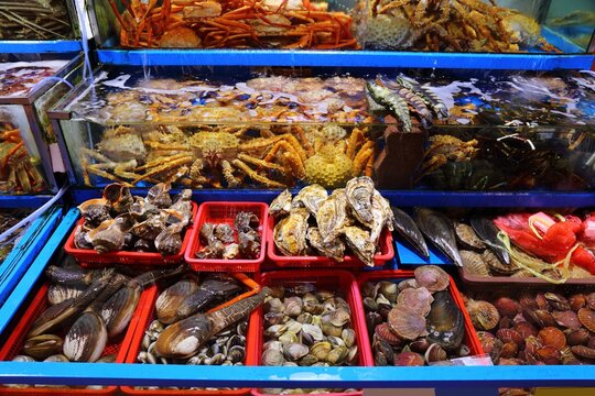 Shellfish at Noryangjin Fish Market