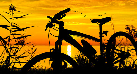 silueta de una bicicleta en la naturaleza - obrazy, fototapety, plakaty