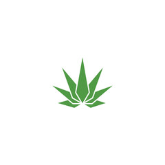 Cannabis marijuana geometric hemp logo isolated on white background