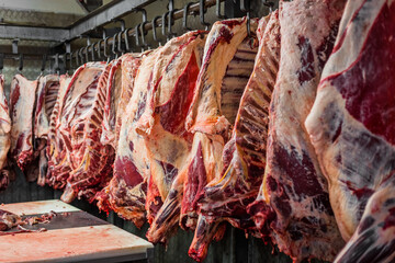 Meat processing plant. carcasses of beef hang on hooks.
