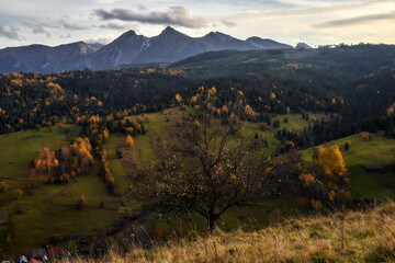 landscape in the mountains