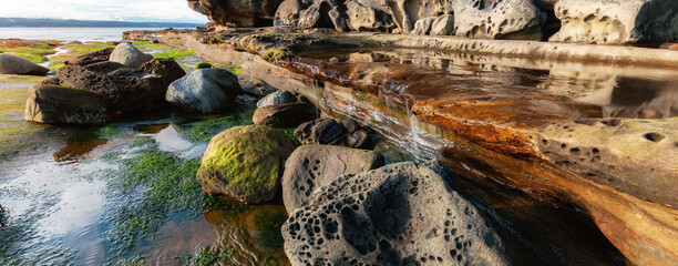Rocky Shore on the Ocean Coast. Canadian Nature Background. Hornby Island, British Columbia, Canada.