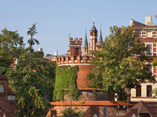 Head of cat tower in Torun.  Poland © Andrey Shevchenko