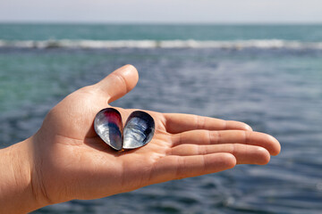 Shells on the hand in the shape of a heart on the background of the sea.