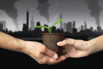 Hands of adult and child hold peat pot with green sprout of plant against the backdrop of industrial cityscape with smoking chimneys and dark sky. Ecological problems