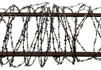 Pieces of barbed wire close-up on a white background. The escape. Protection. Barbed wire