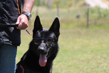 Momentos divertidos depois do treino.