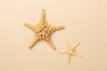 Fototapeta na wymiar Starfishes on color background, top view