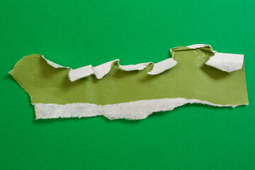 Green torn paper background with copy space