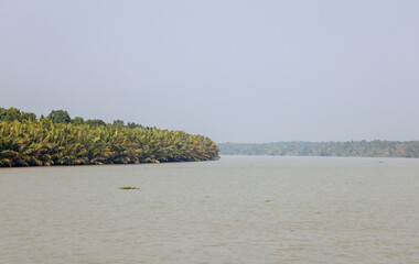 Sundarbans National Park.Sundarbans is a tidal wetland forest delta with an area of about 10,200...