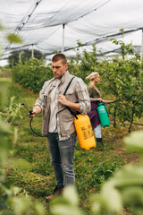 Protecting the fruit plantation from insects and diseases.
