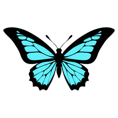 Butterfly isolated on white background. Vector illustration. Eps 10.