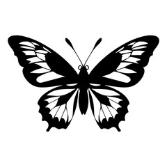 Butterfly silhouette in black and white colors. Vector illustration.