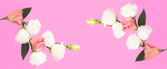 Beautiful white and pink flowers on the pink background. Copy space. Top view.