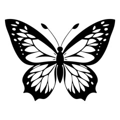 Butterfly black silhouette on a white background. Vector illustration.