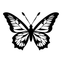 Butterfly silhouette in black and white colors. Vector illustration.