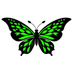 Butterfly with green wings isolated on white background. Vector illustration. Eps 10.