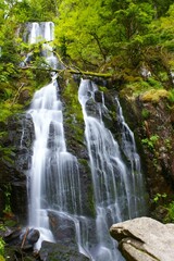 Fototapeta na wymiar Tendon waterfall in the Vosges