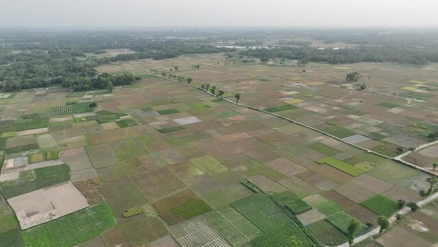 Rural aerial landscape with multicolor agriculture fields in bangladesh, 4k