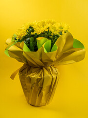 Bouquet of yellow daisies on a yellow background. Yellow flowers.