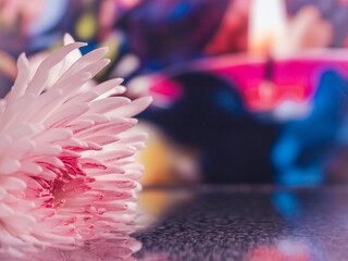 Spa still life with water lily in a tranquil pool. Spa concept.