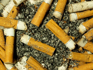 Close photo of smoked cigarettes of different filter colours