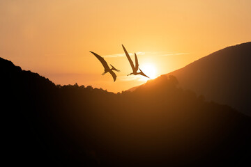 Couple of pterodactyls flying at sunset