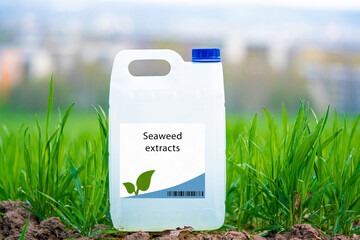 Seaweed extracts natural plant growth stimulants that enhance nutrient uptake, stress tolerance,...