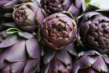  Beautiful Globe Artichokes (Cynara cardunculus var. scolymus), also known by the names French artichoke and green artichoke, in colors of green and purple, piled up on a wooden table   
