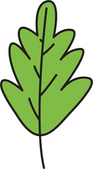 leaf illustration