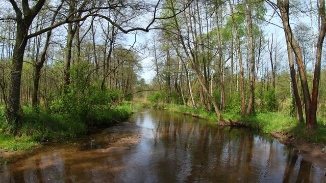 Silesian spring landscape - river side