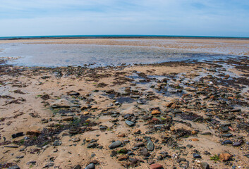 Plage à marée basse, Cotentin, département de la Manche, Normandie, France