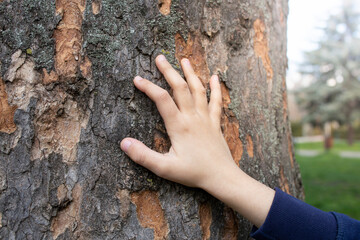 Child hand on a tree bark texture, soft focus close up