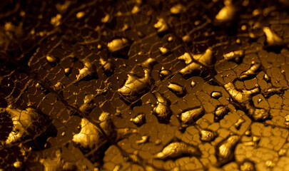 Water drops on a leaf skeleton nerves, on dark golden background