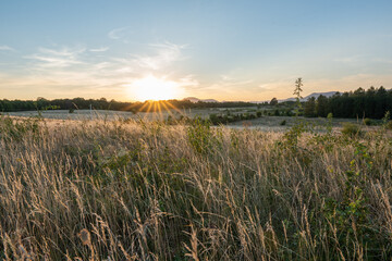 sunset in the field