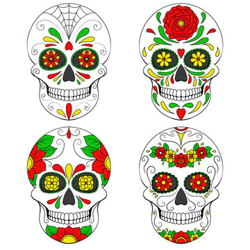 Day of The Dead Skull with floral ornament. Mexican sugar skull set. Illustration on transparent background