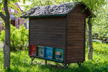 Fototapety na wymiar - Fototapeta24.pl