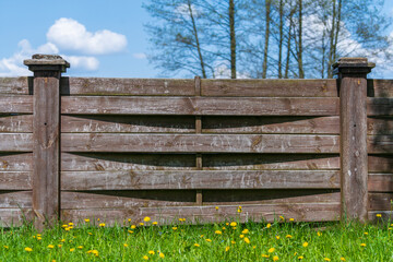 Wooden garden fence, green grass and blooming dandelion flowers on a spring day