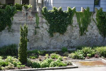 Obraz premium Mauer des römischen Kastells Comagena in Tulln an der Donau, Österreich, 04.05.2023