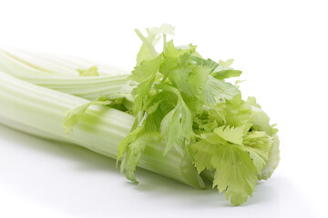 Fresh celery isolated on a white background