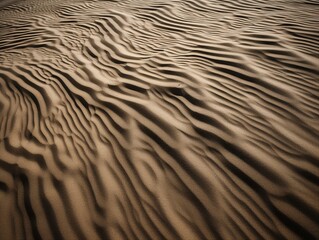 Whispers of the Wind in Desert Sands