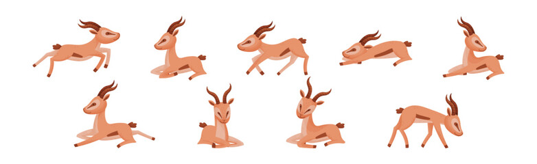 African Wild Gazelle with Long Horns and Hoofs Vector Set