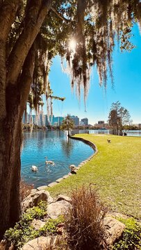 Orlando Downtown