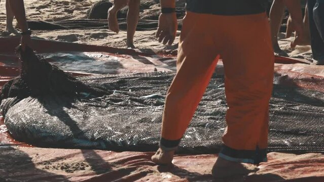 Freshly caught fish twitching in a fishing net by the sea