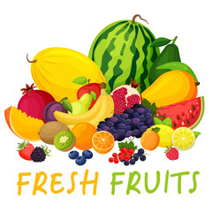 Fruits and berries. Fresh fruit vector illustration.
