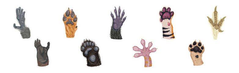 Animal Paw and Animalistic Pets Claw Vector Set