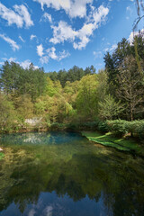 Fototapeta na wymiar Blue water spring Vrelo reke Mlave izvor - Source of river Mlava - Beautiful nature 