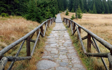 Obraz premium Path on the mountain trail